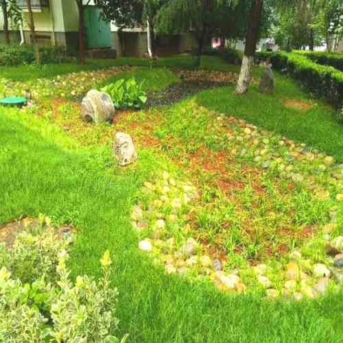 昆山海綿城市綠化